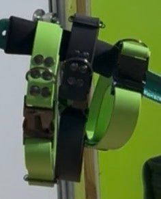 Adjustable Biothane Collar