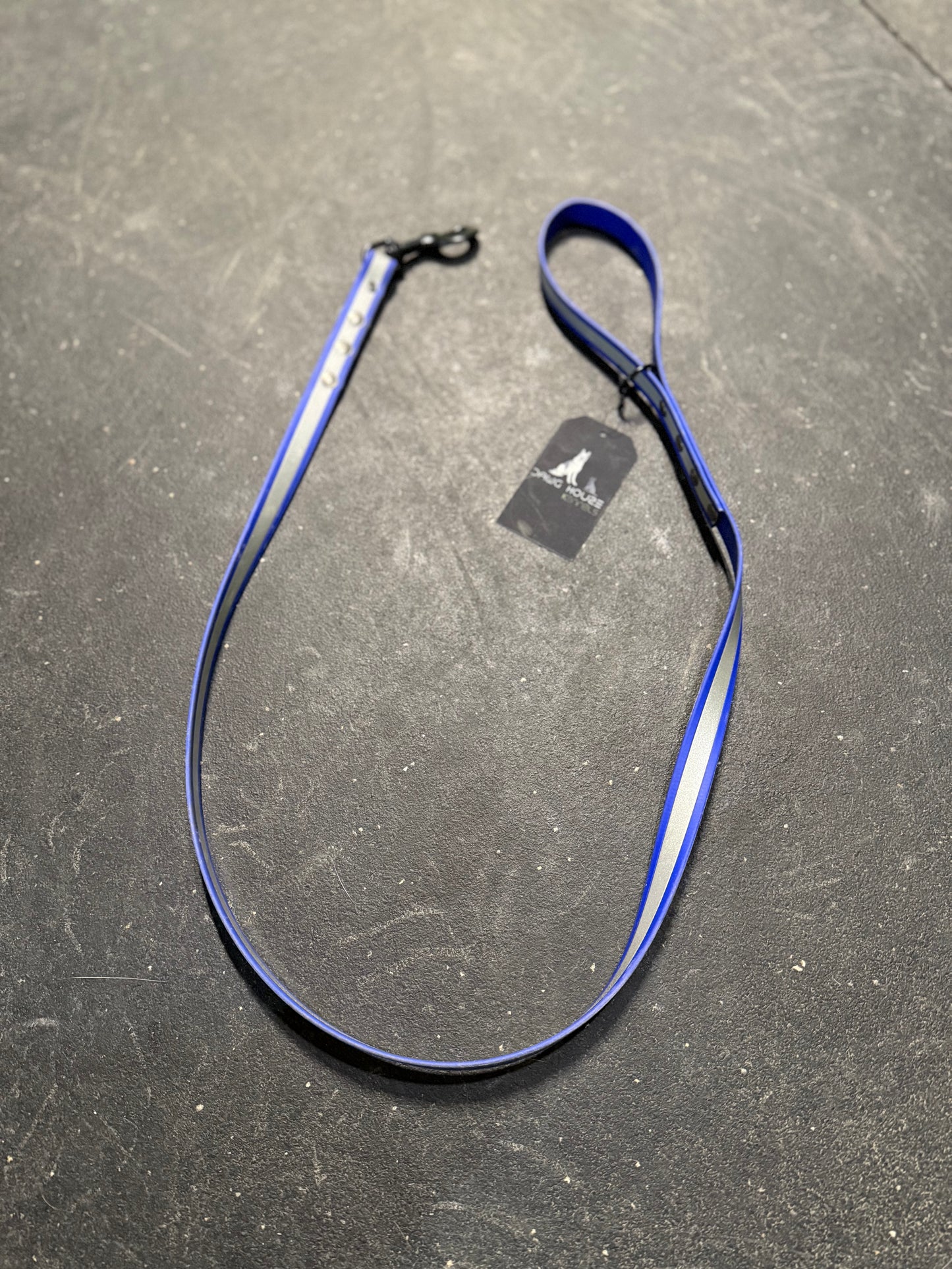 Blue 4ft Biothane reflective Dog leash