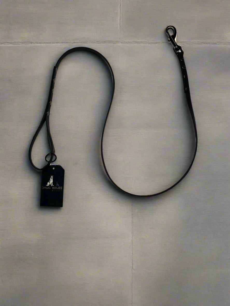 Biothane Dog Leash