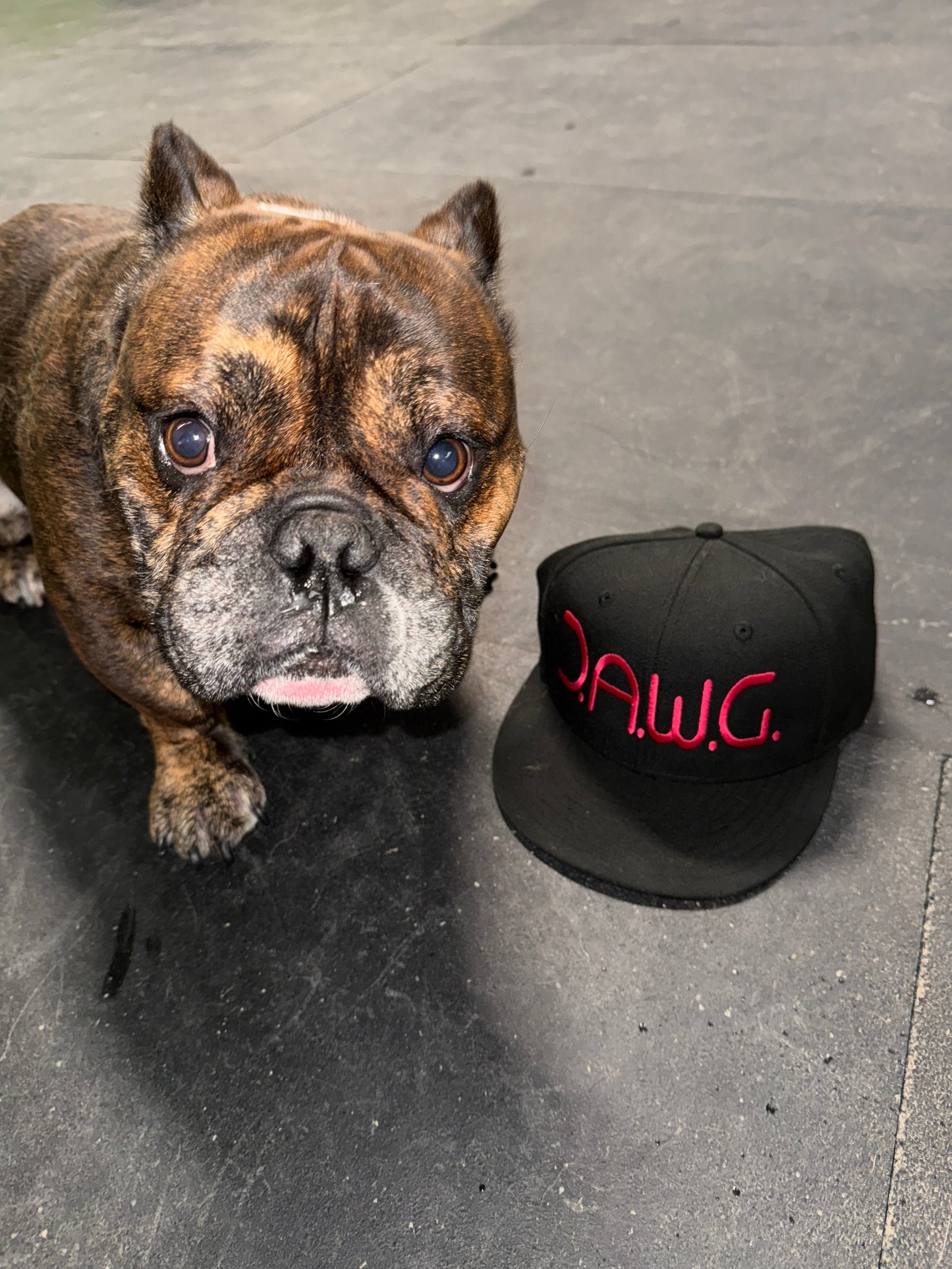 Men’s D.A.W.G. Cap (Breast Cancer Awareness Collection)