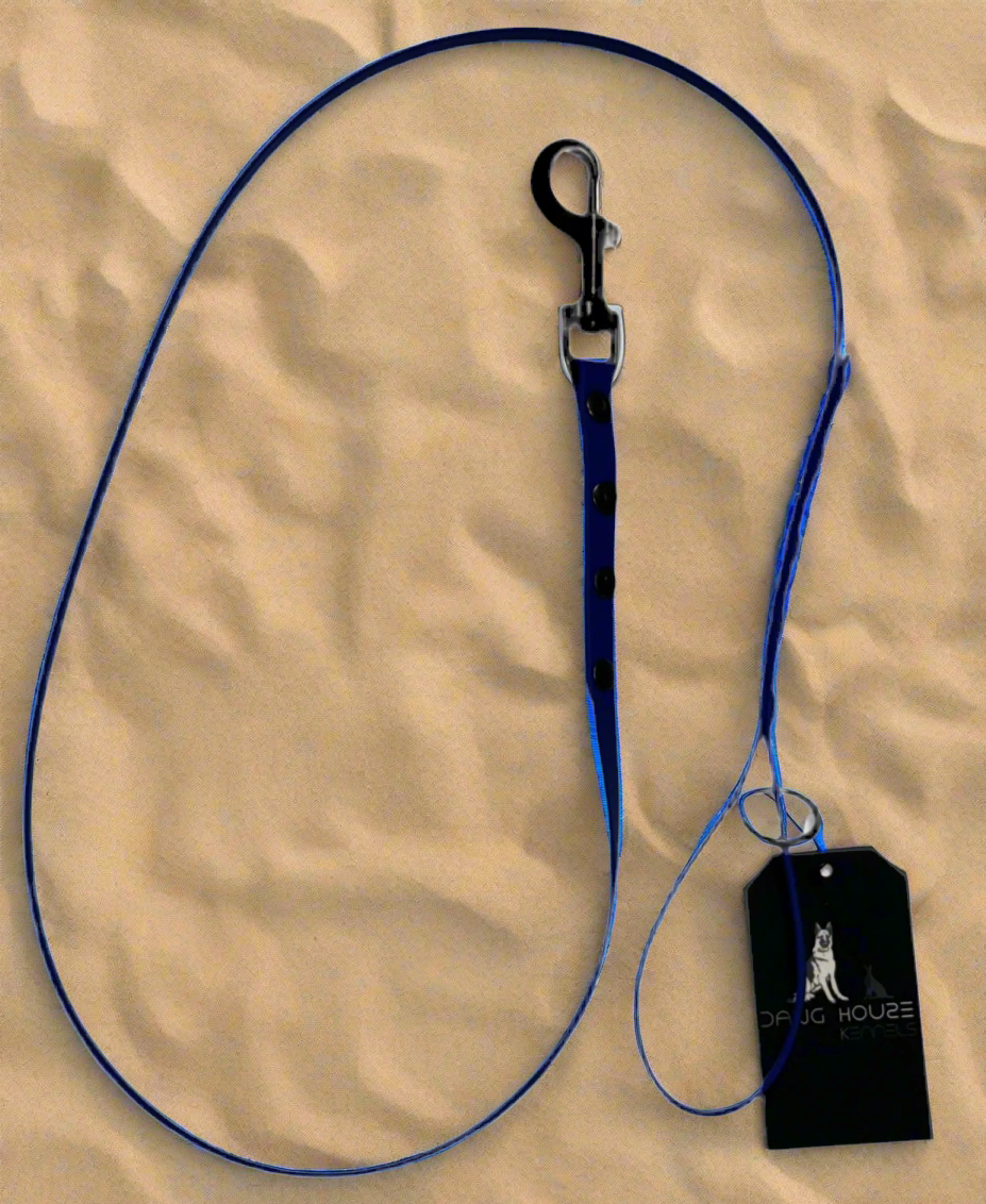 Biothane Dog Leash