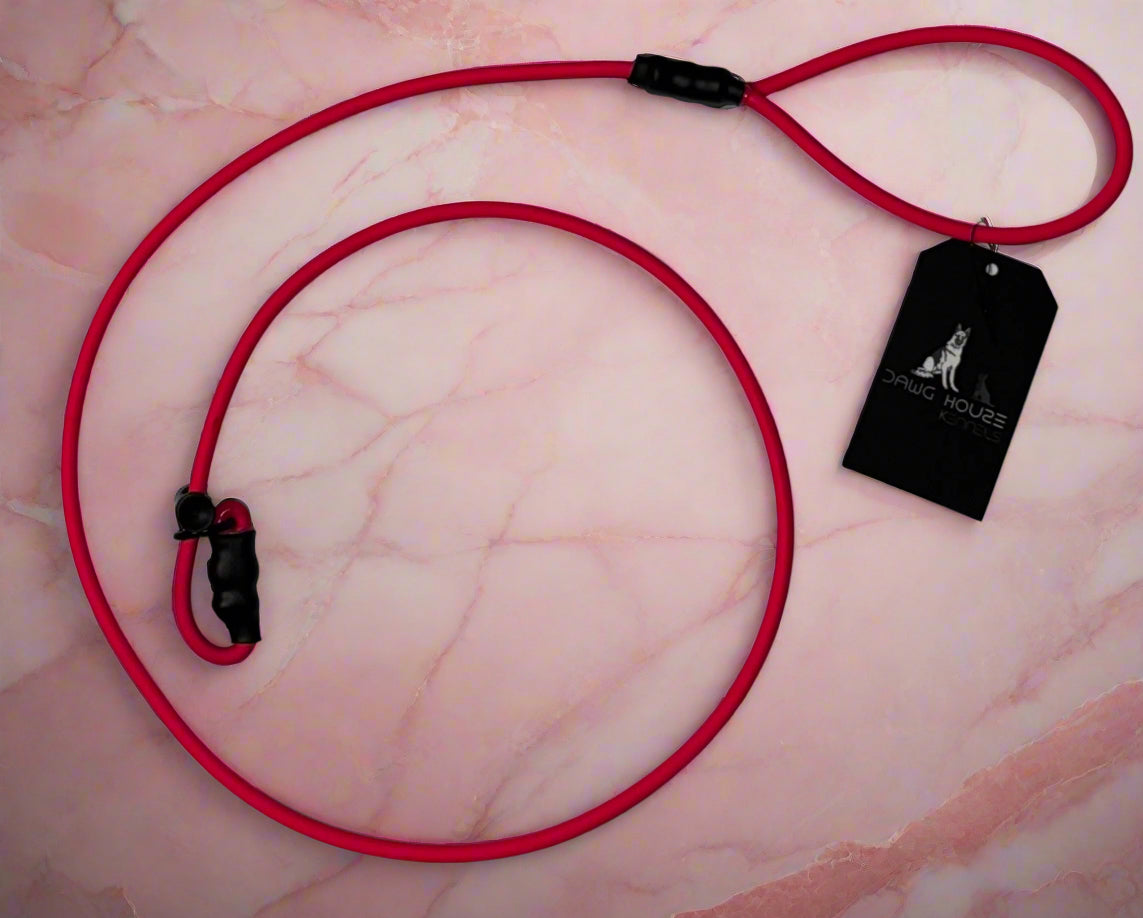 Biothane Rope Dog Training Leashes