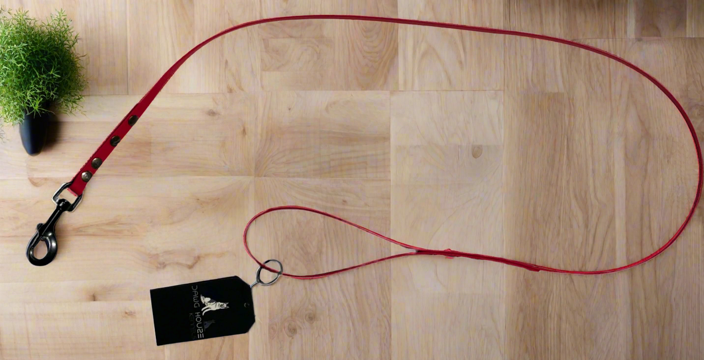 Biothane Dog Leash