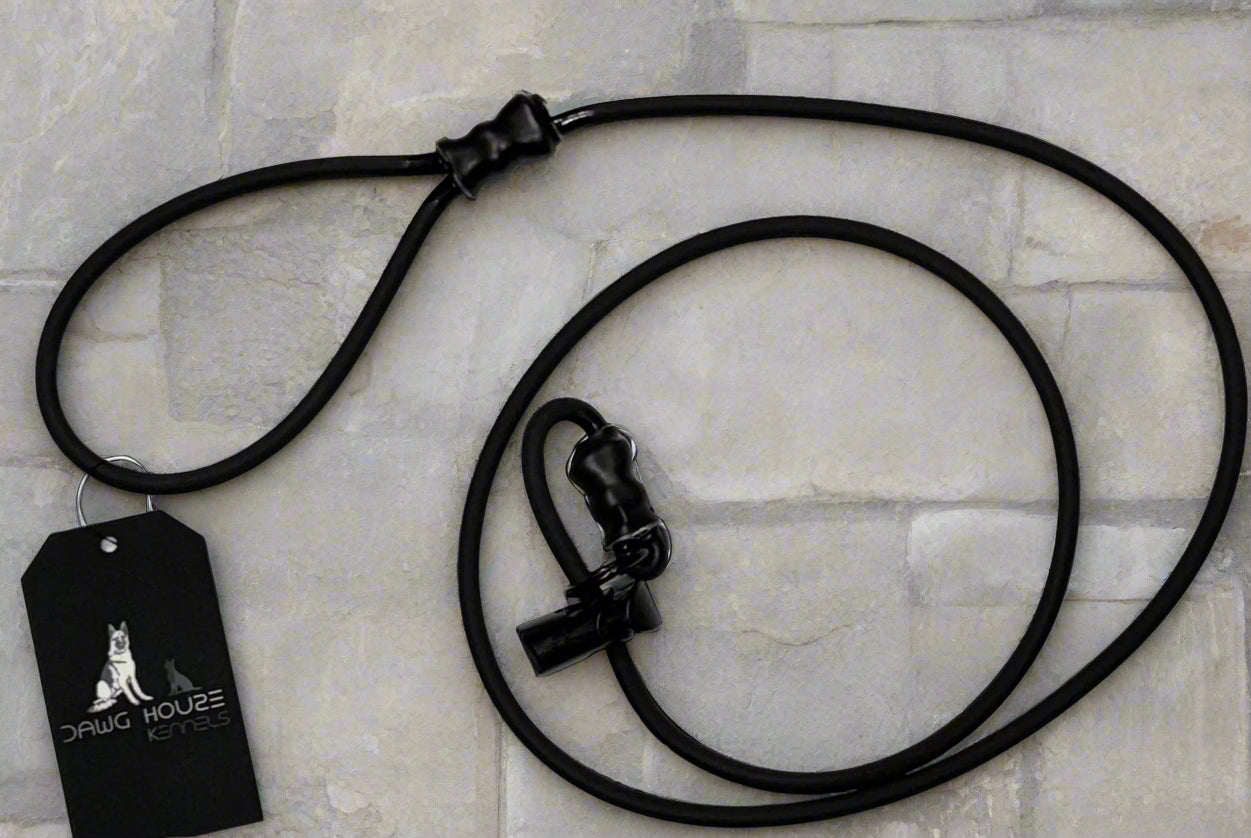 Biothane Rope Dog Training Leashes