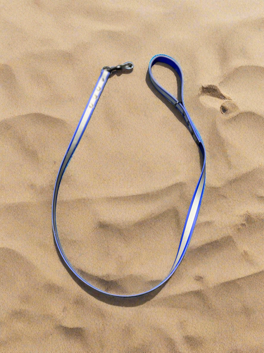Blue 4ft Biothane reflective Dog leash