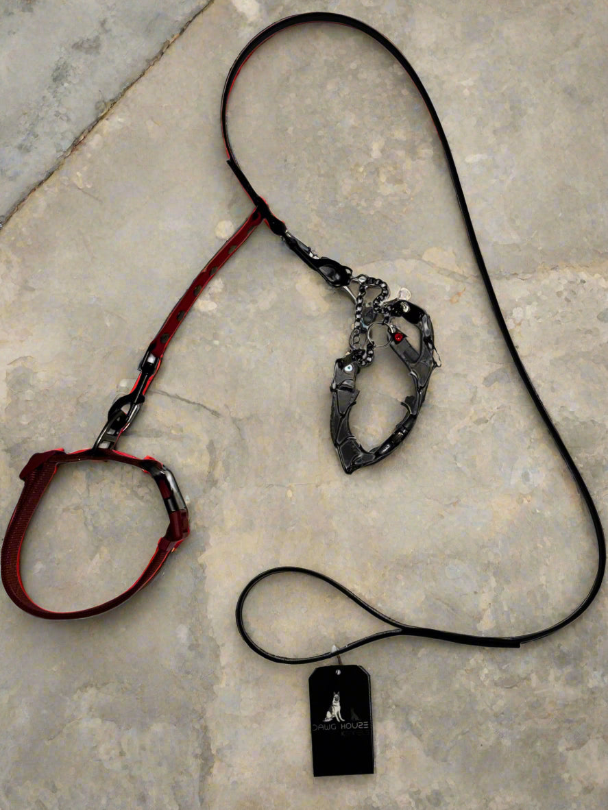 4 foot Biothane Prong Collar Safety Leash