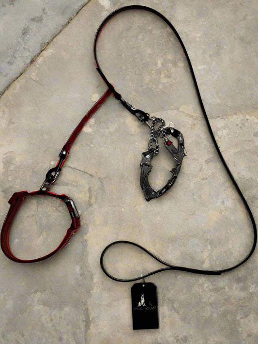 4 foot Biothane Prong Collar Safety Leash